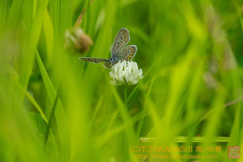 ../Images/7R240706 (614).jpg